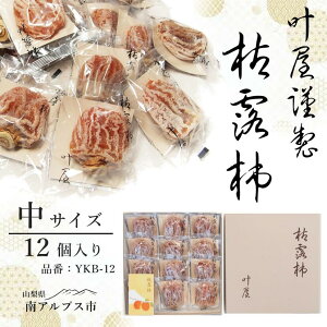 yӂ邳Ɣ[Łz12{菇͘I`@YKB-12yTCY12zp@`@낪 ALPBC001