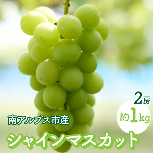 yӂ邳Ɣ[Łz2026Ns\񁄓AvXs̃VC}XJbg2[ 1kg ALPFK001