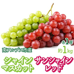 yӂ邳Ɣ[Łz2026Ns\񁄃VC}XJbgƃTVCbhe1[ 1kg@ALPFK002