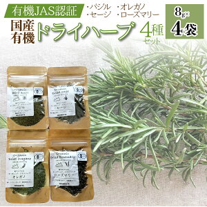 yӂ邳Ɣ[ŁzyYL@zhCn[u4ZbgioWAZ[WAIKmA[Y}[j@8g×4 ALPEL007