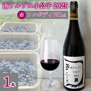 yӂ邳Ɣ[ŁzyRhzt{fB15xԃC AvXq2025@@1{ ALPEL008