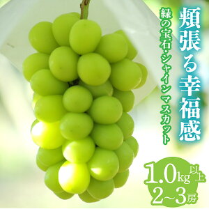 yӂ邳Ɣ[Łz2026Ns\񁄖jK@` ΂̕΁EVC}XJbg `@1.0kgȏ 2`3[ ALPCV001