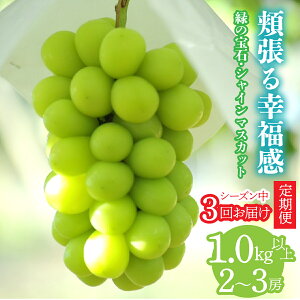 yӂ邳Ɣ[Łz2026Ns\񁄁yV[Y3񂨓͂ցzjK@` ΂̕΁EVC}XJbg `@1kgȏ 2`3[ ALPCV011