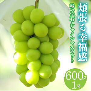 yӂ邳Ɣ[Łzyʌ@2026Ns\z@` ΂̕΁EIVC}XJbg `@600g 1[ ALPCV012