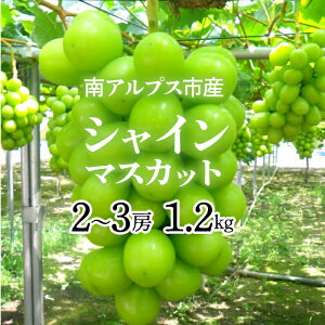 yӂ邳Ɣ[Łz2026Ns\񁄓AvXsYVC}XJbg1.2kgȏi2`3[jӂ邳Ɣ[  R AvXs  ALPAG007