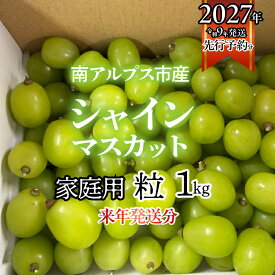 【ふるさと納税】＜2027年発送先行予約＞南アルプス市産シャインマスカット家庭用　粒1kg ふるさと納税 おすすめ 山梨県 南アルプス市 送料無料 ALPAG012