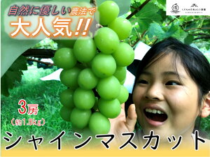 �y�ӂ邳�Ɣ[�Łz��2026�N������s�\�񁄁y���R�ɗD�����V���C���}�X�J�b�g3�[�z�͔|���Ԓ��̔_��ߌ��Ŕ��������V���C���}�X�J�b�g(��1.8kg) �ӂ邳�Ɣ[�� �������� �R���� ��A���v�X�s 