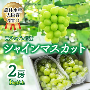 �y�ӂ邳�Ɣ[�Łz �y2026�N��s��t�z�y�_�ѐ��Y��b�܎��!!�z�V���C���}�X�J�b�g2�[1kg�ȏ� �ӂ邳�Ɣ[�� �V���C���}�X�J�b�g �}�X�J�b�g �Ԃǂ� ���� �ʕ� �t���[�c 2�[ �������� �R���� 