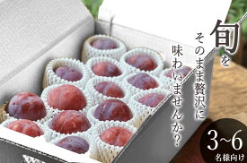 【ふるさと納税】 5-102 ＜2026年発送先行予約＞南アルプス市産 貴陽 約3kg（11～14個入り） ふるさと納税 おすすめ 山梨県 南アルプス市 送料無料 ALPAL014