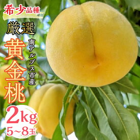 【ふるさと納税】＜2026年発送分先行予約＞ 厳選 希少品種！黄金桃2kg 5〜8玉 山梨県南アルプス市産 ふるさと納税 桃 もも 黄金桃 果物 フルーツ おすすめ 山梨県 南アルプス市 送料無料 ALPBV009