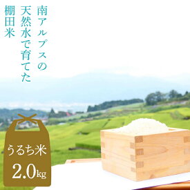【ふるさと納税】 【うるち米 2kg】南アルプスの天然水で育てた棚田米 ALPCC001 ふるさと納税 山梨 山梨県 産地直送 うるち米 米 こめ コメ お米 ごはん ご飯 送料無料