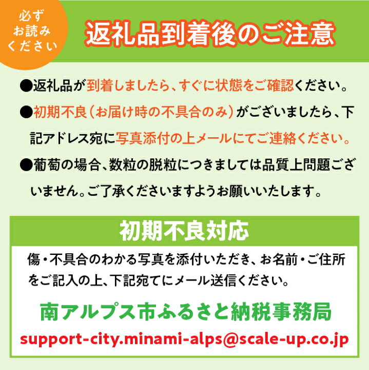 楽天市場】【ふるさと納税】 ＜2026年発送先行予約＞光センサー桃「特 