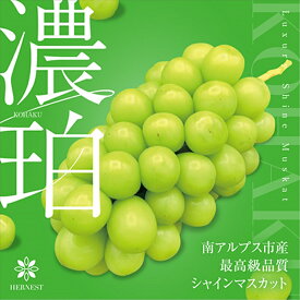 【ふるさと納税】【先行予約】南アルプス市産シャインマスカット「濃珀 KOHAKU」約1.2kg　2-3房＜出荷時期：2024年8月下旬～2024年10月下旬頃＞フルーツ ぶどう 葡萄 【内祝い 内祝 お祝い 御祝い 御祝 お礼 御礼 プレゼント ギフト 贈り物 山梨県 南アルプス市 】