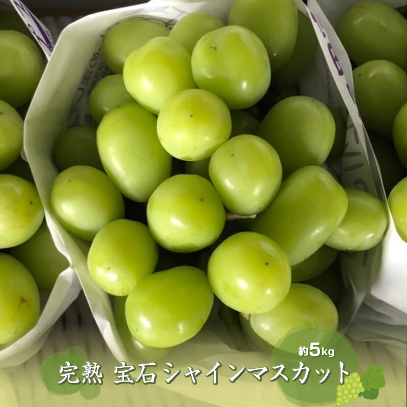 青森県産 種無し シャインマスカット 4kg - 果物