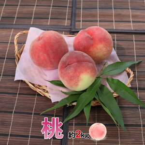 【ふるさと納税】<2026年発送分先行予約> 山梨県南アルプス市産 桃 2Kg 5〜8玉 ふるさと納税 桃 もも 果物 フルーツ 桃2kg おすすめ 山梨県 南アルプス市 送料無料 ALPBV002
