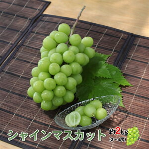 yӂ邳Ɣ[Łz 5-203 I! VC}XJbg 2.0kg RAvXsY ӂ邳Ɣ[  R AvXs  ALPBV007