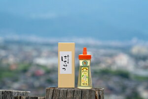 【ふるさと納税】 2-9-58 自家のミツバチが集める南アルプス上宮地産 黄金色のアカシアはちみつ 注ぎ型ボトル 440g 2本 ふるさと納税 はちみつ アカシアはちみつ アカシア 注ぎ方ボトル お