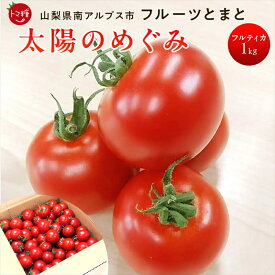 【ふるさと納税】 フルーツトマト「太陽のめぐみ」1kg 6-180 ふるさと納税 トマト　野菜　食べ物　ミニトマト　フルーツトマト おすすめ 山梨県 南アルプス市 送料無料 ALPBI001