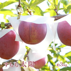 【ふるさと納税】＜2026年発送先行予約＞すもも「太陽」10～13玉入り×2箱約3kg ふるさと納税 おすすめ 山梨県 南アルプス市 送料無料 ALPAA016