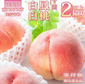 【ふるさと納税】【2024年発送分】 桃2kg以上　山梨県産完熟桃　白鳳系　＜2024年6月下旬～8月上旬発送＞　白桃系　＜2024年7月中旬～8月下旬発送＞【先行予約 旬のフルーツ 桃 山梨県 南アルプス市】