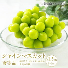 【ふるさと納税】 ＜2026年発送分先行予約＞山梨県南アルプス市産シャインマスカット　秀等品　約1.5kg　2〜3房 ふるさと納税 シャインマスカット マスカット 葡萄 果物 フルーツ おすすめ 山梨県 南アルプス市 送料無料 ALPAH016