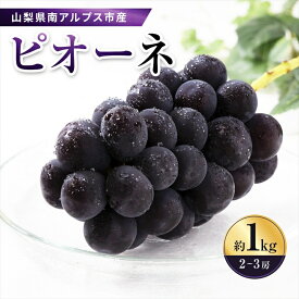 【ふるさと納税】 ＜2026年発送先行予約＞南アルプス市産　旬の採れたてピオーネ　2〜3房入り　約1kg ふるさと納税 ピオーネ 葡萄 黒ぶどう 果物 フルーツ おすすめ 山梨県 南アルプス市 送料無料 ALPAH012