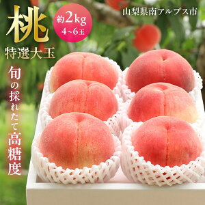 �y�ӂ邳�Ɣ[�Łz��2026�N������s�\�� ��A���v�X�s�Y�����x�@���I��ʓ� ��2kg�y5�`6�ʁz �ӂ邳�Ɣ[�� �������� �R���� ��A���v�X�s �������� ALPAH023