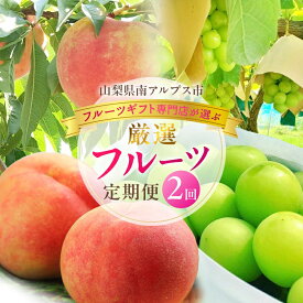 【ふるさと納税】＜2026年発送分先行予約＞フルーツギフト専門店が選ぶ南アルプスの厳選フルーツ定期便　全2品種（桃・シャインマスカット） ALPAH049