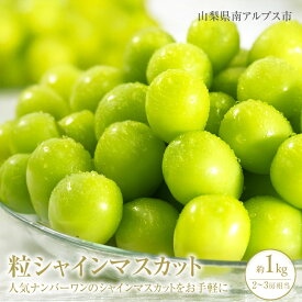 【ふるさと納税】＜2026年発送分先行予約＞山梨県南アルプス市産シャインマスカット　粒　1kg ALPAH044