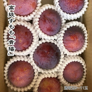 yӂ邳Ɣ[Łz2026Ns\񁄍uMzv9-11 ӂ邳Ɣ[  Mz v ʕ t[c  R AvXs  ALPCZ002