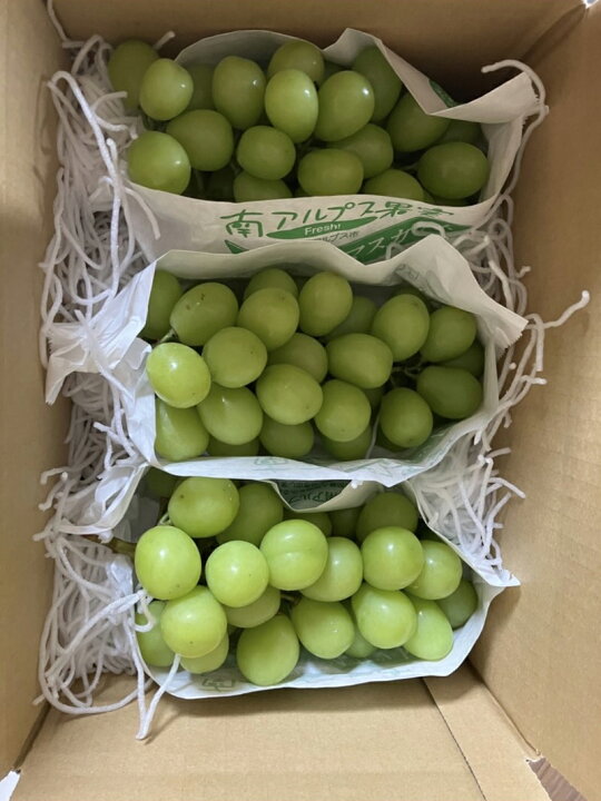 楽天市場】【ふるさと納税】完熟 宝石シャインマスカット約1.8～2kg 