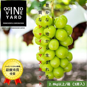 yӂ邳Ɣ[Łz 2025NHns\ RYVC}XJbg Iׂe ӂ邳Ɣ[ VC}XJbg Ԃǂ  ʕ t[c 2[ 3[ 4[  R AvXs 