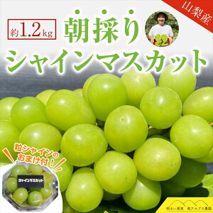 �y�ӂ邳�Ɣ[�Łz ��2026�N��������s�\�񁄃V���C���}�X�J�b�g2�[�i��1.2kg�j �ӂ邳�Ɣ[�� �V���C���}�X�J�b�g �}�X�J�b�g ���� �ʕ� �t���[�c �������� �R���� ��A���v�X�s �������� ALPAQ0