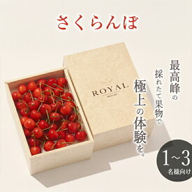 【ふるさと納税】 ＜2026年発送先行予約＞南アルプス市産 さくらんぼ L,2Lサイズ BOX 250g ふるさと納税 さくらんぼ 果物 フルーツ おすすめ 山梨県 南アルプス市 送料無料 ALPAL026