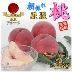 【ふるさと納税】 【25年発送先行予約】厳選！南アルプス市産　朝採れ大玉桃　約2kg（4〜6玉） ふるさと納税 もも 桃 大玉 果物 フルーツ おすすめ 山梨県 南アルプス市 送料無料 ALPDD004