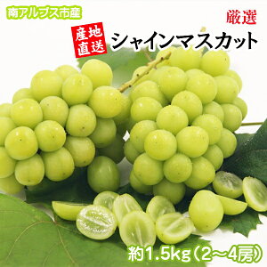 yӂ邳Ɣ[Łz y25Ns\zIIAvXsY@VC}XJbg@1.5kg`1.6kgi2`4[j ӂ邳Ɣ[ VC}XJbg  Ԃǂ ʕ t[c  R 