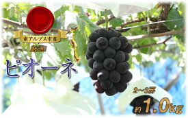 【ふるさと納税】 ＜2026年発送先行予約＞ 厳選！南アルプス市産　ピオーネ　約1.0kg（2〜3房） ふるさと納税 ピオーネ 葡萄 ぶどう 果物 フルーツ おすすめ 山梨県 南アルプス市 送料無料 ALPDD017