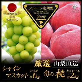 【ふるさと納税】 ＜2026年発送分先行予約＞厳選！南アルプス市産　『フルーツ定期2回便』 ふるさと納税 果物 フルーツ もも 葡萄 シャインマスカット おすすめ 山梨県 南アルプス市 送料無料 ALPDD006