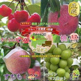 【ふるさと納税】 ＜2026年発送分先行予約＞厳選！南アルプス市産　『フルーツ定期4回便』　【さくらんぼ・もも・すもも・シャインマスカット】 ふるさと納税 果物 フルーツ さくらんぼ もも 葡萄 シャインマスカット おすすめ 山梨県 南アルプス市 送料無料 ALPDD002