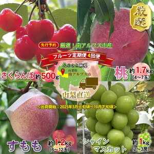 【ふるさと納税】 <2026年発送分先行予約>厳選!南アルプス市産 『フルーツ定期4回便』 【さくらんぼ・もも・すもも・シャインマスカット】 ふるさと納税 果物 フルーツ さくらんぼ