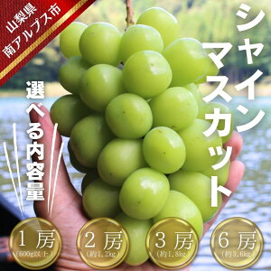 yӂ邳Ɣ[Łzyߘa7NEs\zVC}XJbg Iׂe 600g 1.2kg 1.8kg 3.6kg R AvXs t[c ʕ  Ԃǂ uhE Mtg  蕨 A