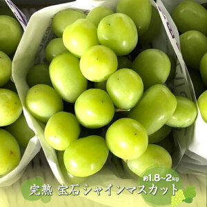 yӂ邳Ɣ[Łz2026Ns\񁄊n ΃VC}XJbg1.8`2kg ӂ邳Ɣ[ VC}XJbg }XJbg  ʕ t[c  R AvXs  ALP