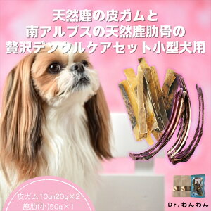 yӂ邳Ɣ[Łz 6-81 VR̔KƓAvX̓VR]ґf^PAZbg^p ӂ邳Ɣ[ p@K@@@W[L[@f^  R A