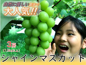 yӂ邳Ɣ[Łz yRɗD2FZbg3[z͔|Ԓ̔_팸ŔVC}XJbgƐԕ(1.5kgȏ) ӂ邳Ɣ[  R AvXs  