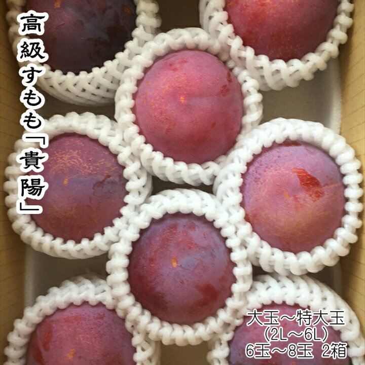 楽天市場】【ふるさと納税】高級すもも「貴陽」 大玉～特大玉6玉～8玉 
