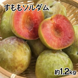 【ふるさと納税】 ＜2026年発送先行予約＞すももソルダム 約1.2kg ふるさと納税 すもも ソルダム プラム 果物 フルーツ おすすめ 山梨県 南アルプス市 送料無料 ALPCZ003