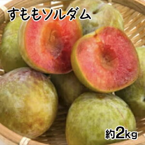 yӂ邳Ɣ[Łz 2026Ns\񁄂\_2kg ӂ邳Ɣ[  \_ v ʕ t[c  R AvXs  ALPCZ004