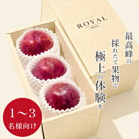 【ふるさと納税】 5-103 ＜2026年発送先行予約＞南アルプス市産 大玉貴陽 3個入り 約800g ふるさと納税 おすすめ 山梨県 南アルプス市 送料無料 ALPAL013