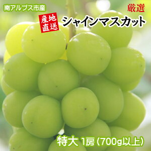 yӂ邳Ɣ[Łz y25Ns\zIIAvXsY@v~AVC}XJbg@700gȏ@1[ ӂ邳Ɣ[ VC}XJbg  Ԃǂ ʕ t[c  R