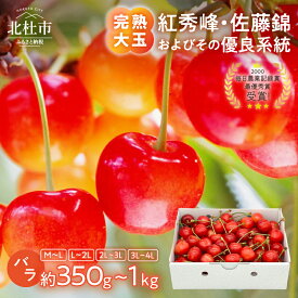 【ふるさと納税】 さくらんぼ 完熟 大玉 バラ 佐藤錦 紅秀峰 【2026年発送 先行予約】 選べるサイズ M～L L～2L 2〜3L 3〜4L 容量 約350g 約500g 約700g 約1kg サクランボ チェリー 果物 産地直送 冷蔵 フルーツ 岩原果樹園 山梨県 北杜市 送料無料 10000円 15000円 以内